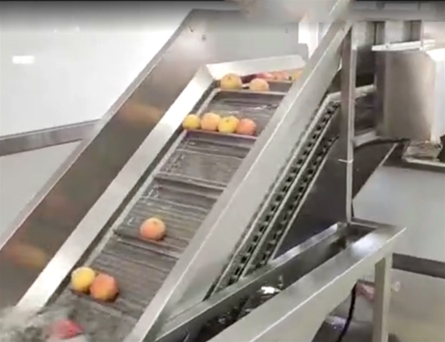 蘋（píng）果脆片加工流（liú）水線        