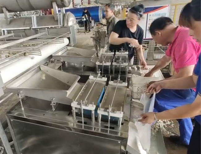 鵪（ān）鶉蛋蒸煮剝（bāo）殼線試機成功