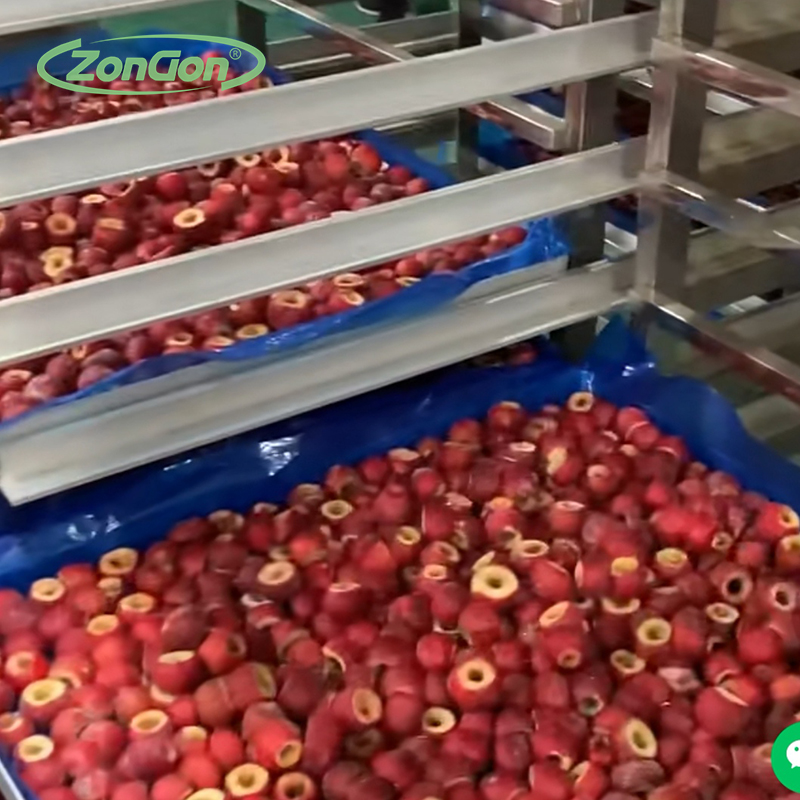 東北藍莓（méi）河北承德國光蘋果真空冷凍幹燥機 小型實驗型到大型生產設備