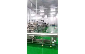 5T鵪鶉蛋蒸煮剝殼流水線在浙江嘉興客戶使用現場（chǎng）