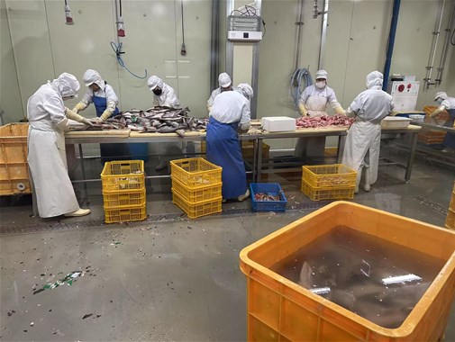 你知道袋裝即（jí）食魚應該如何殺菌效果更好嗎？