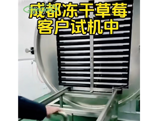 草莓凍幹機